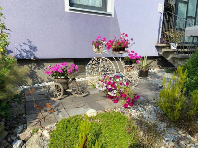 Haus Lila Welle Apartment Nordhalben ภายนอก รูปภาพ
